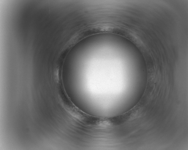 X0000069400262200605262150