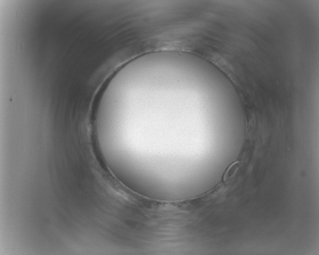X0000069400290200605262150