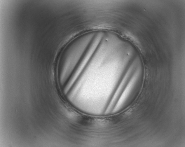 X0000069400298200605262150