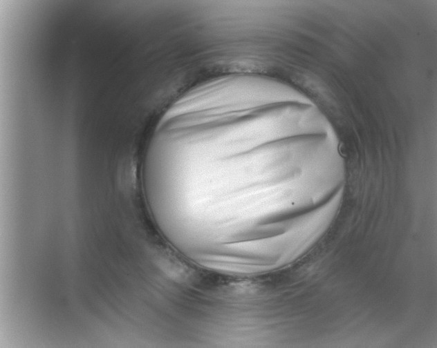 X0000069400310200605262150