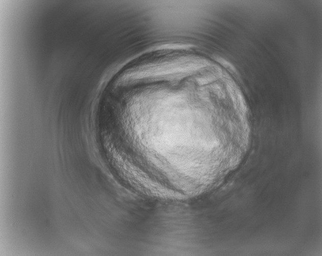 X0000069400337200605262148