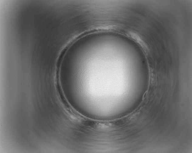 X0000069400346200605262149