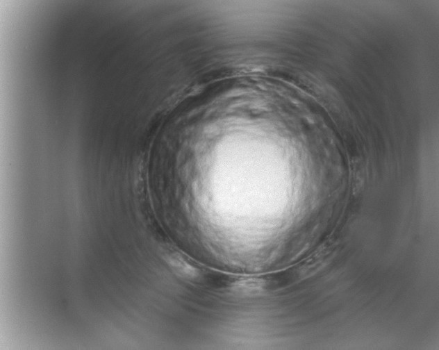 X0000069400369200605262149