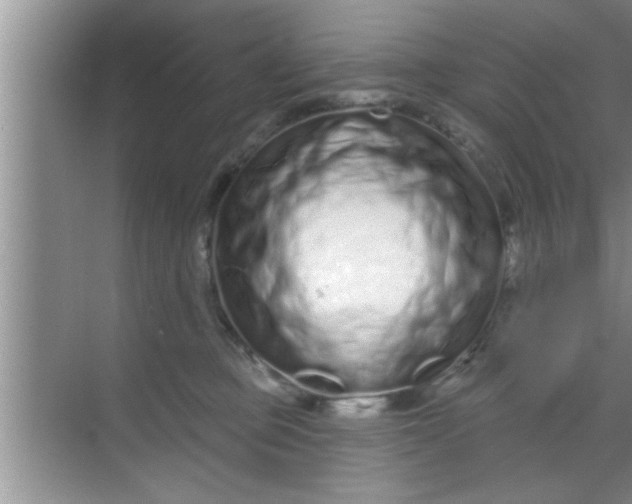 X0000069400373200605262149