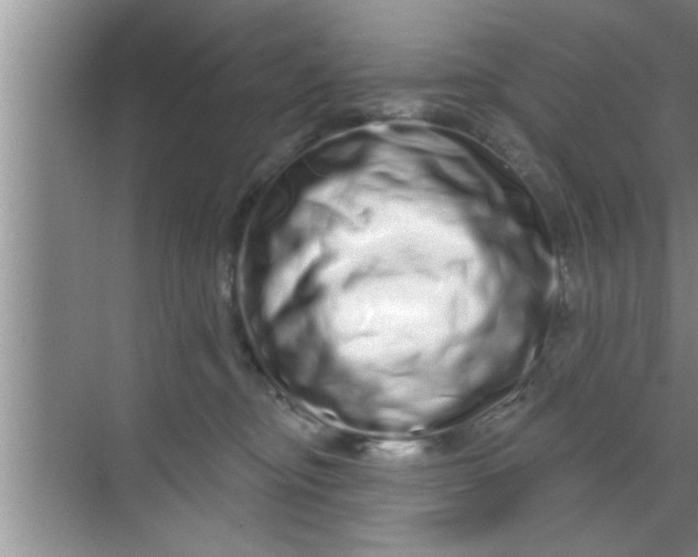 X0000069400374200605262149