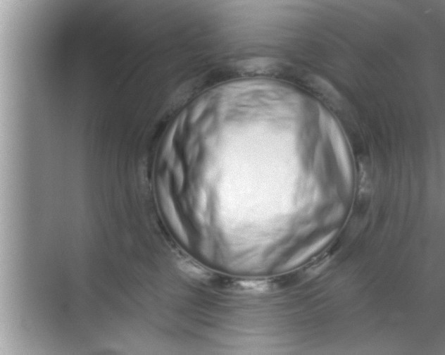 X0000069400377200605262149