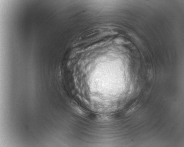 X0000069400381200605262149