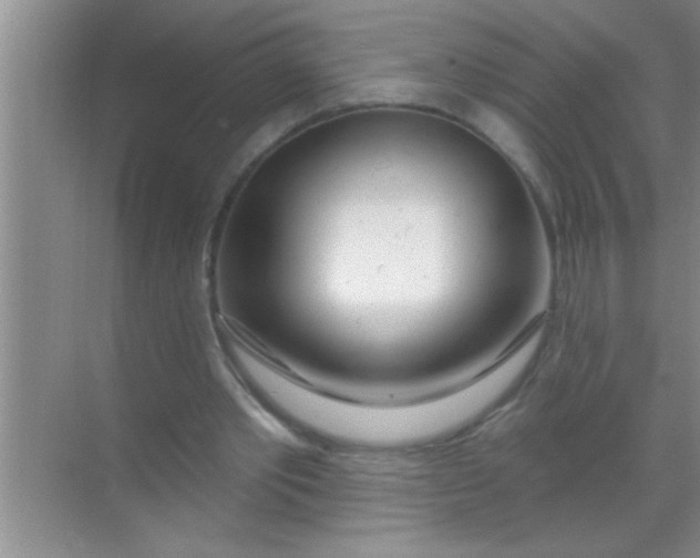 X0000069400389200605262148