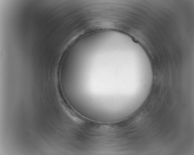 X0000069400390200605262148