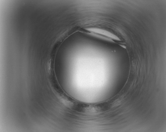 X0000069400404200605262148