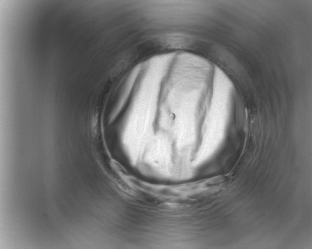 X0000069400406200605262148