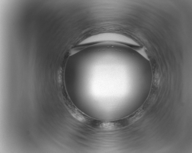 X0000069400413200605262148