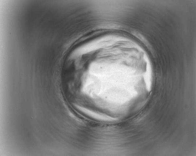 X0000069400433200605262147