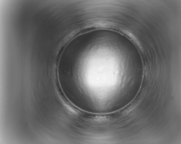 X0000069400445200605262147