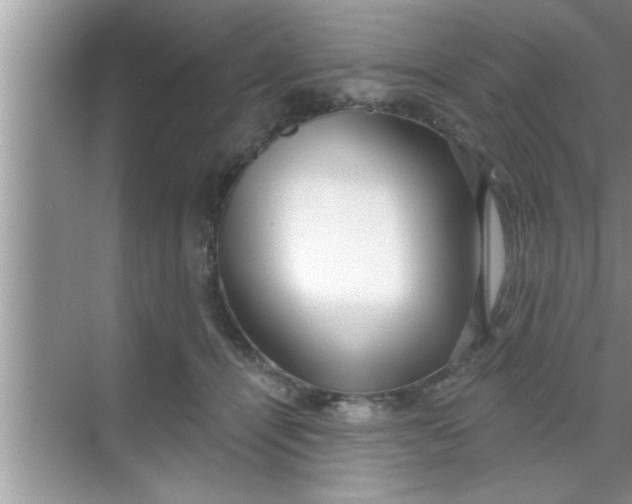 X0000069400464200605262147