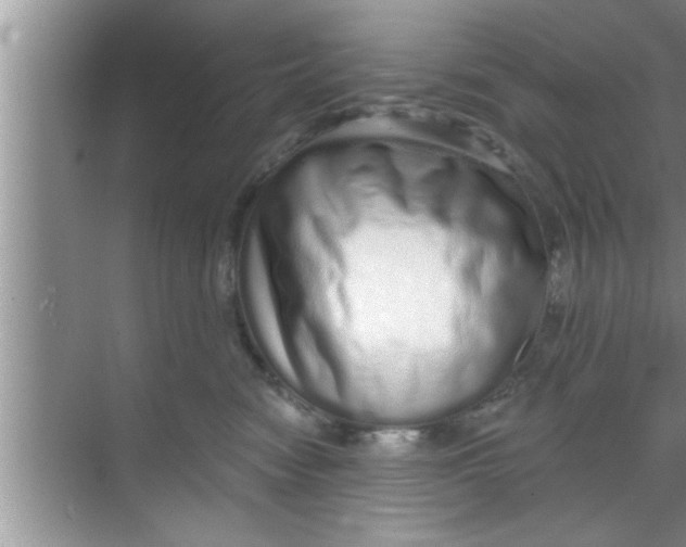 X0000069400474200605262148