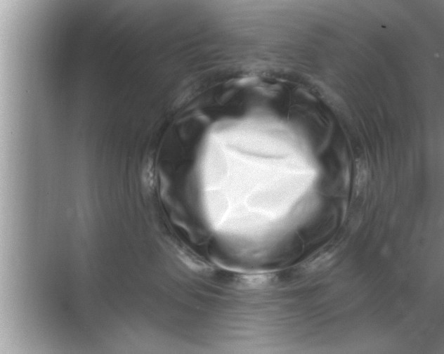 X0000069400479200605262148