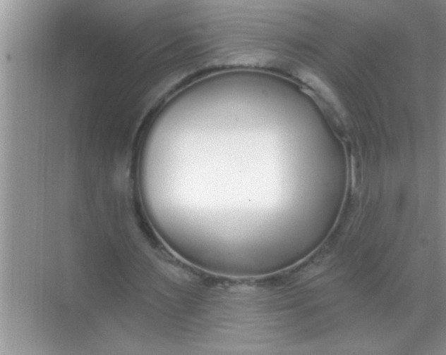X0000069400483200605262147