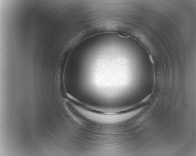 X0000069400493200605262147