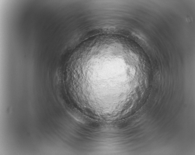 X0000069400499200605262147