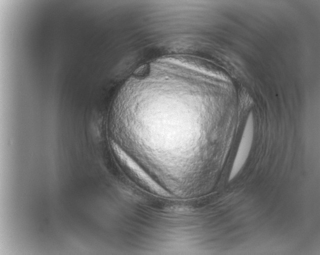 X0000069400503200605262146