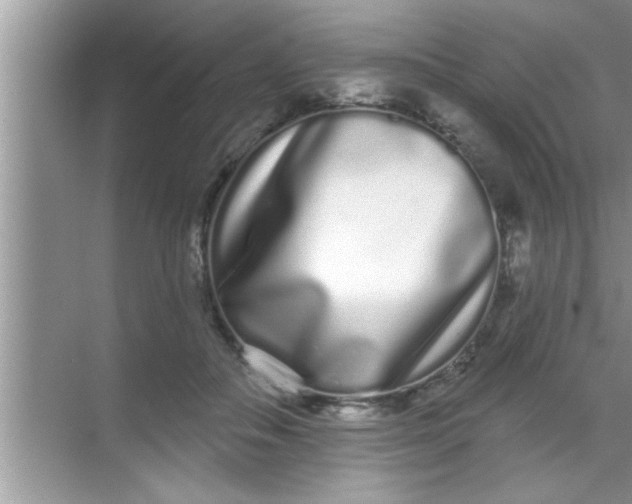 X0000069400506200605262146