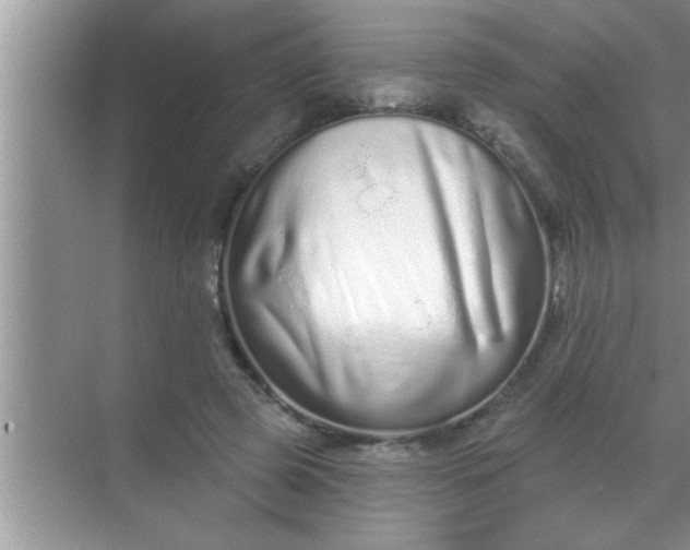 X0000069400545200605262145