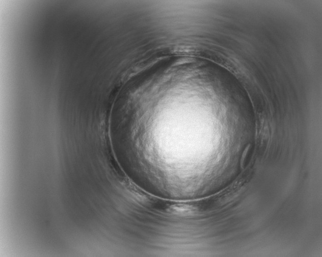 X0000069400557200605262146