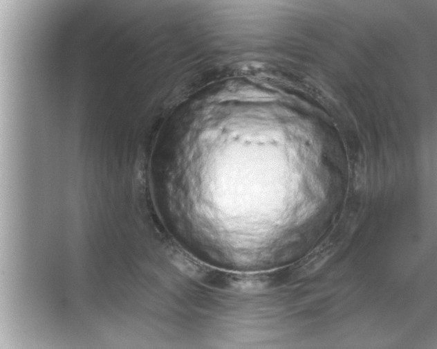 X0000069400561200605262146