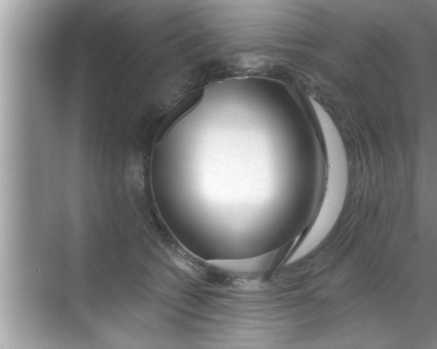 X0000069400562200605262146