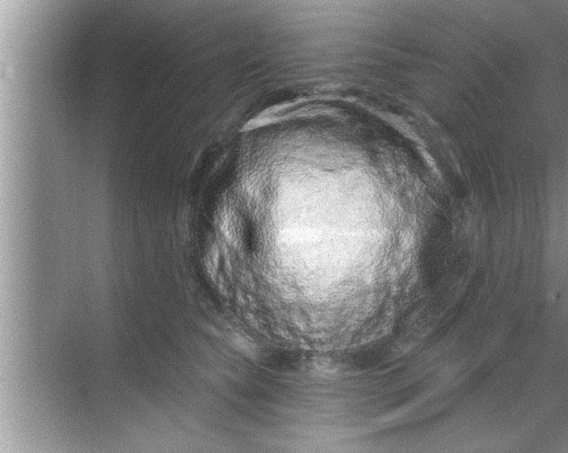 X0000069400565200605262146