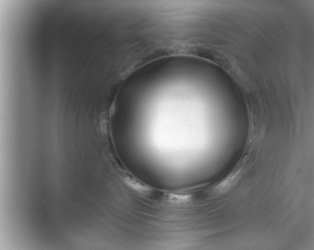 X0000069400576200605262146