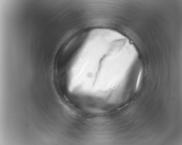 X0000069400578200605262145