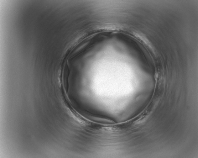 X0000069400585200605262145