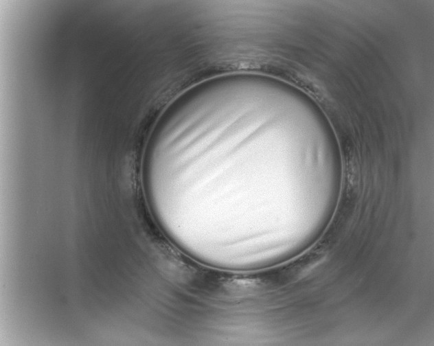 X0000069400594200605262145