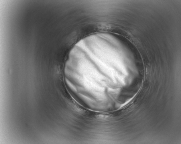 X0000069400614200605262145