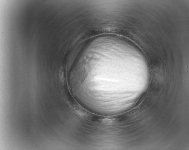 X0000069400615200605262145