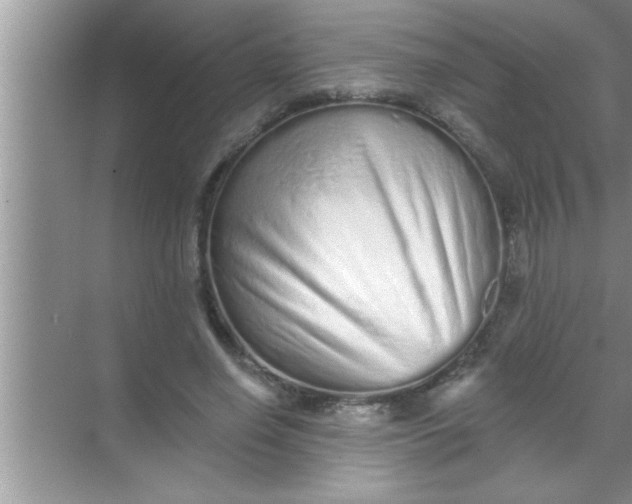 X0000069400638200605262144