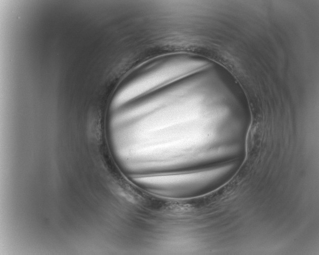 X0000069400642200605262144