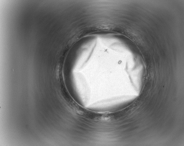 X0000069400647200605262144