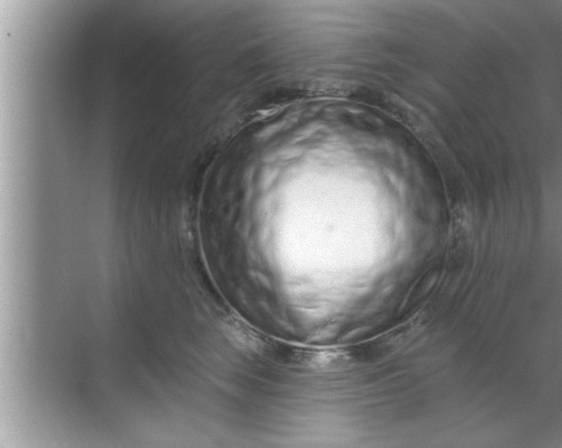X0000069400663200605262144