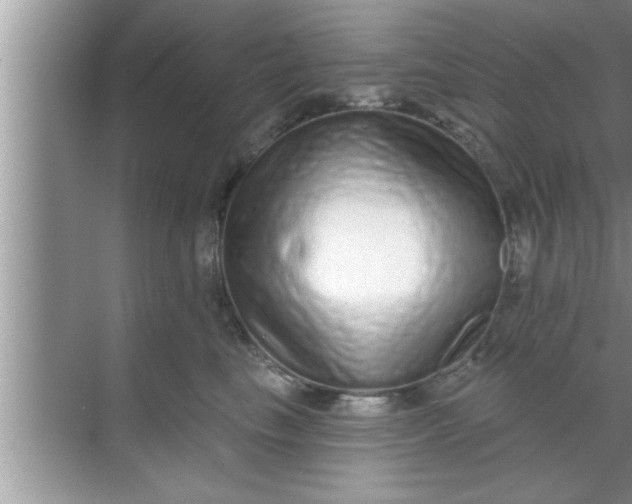 X0000069400665200605262144