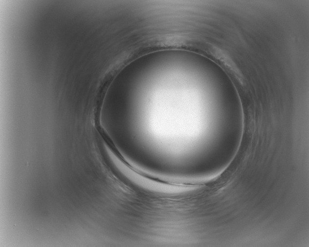 X0000069400681200605262143