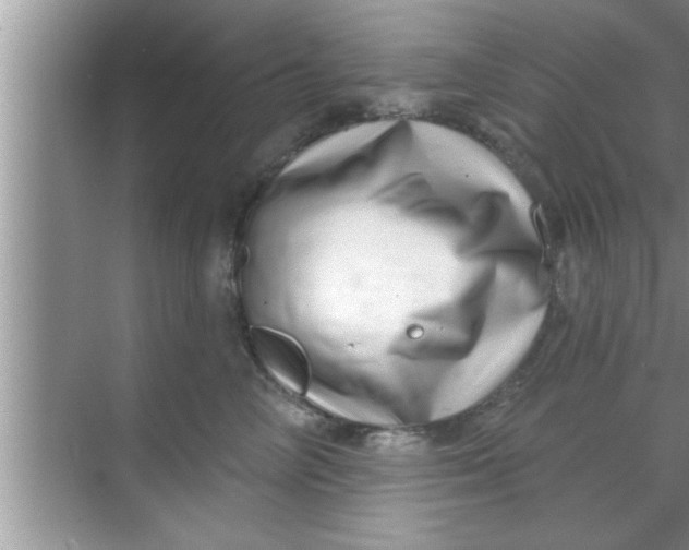 X0000069400714200605262143