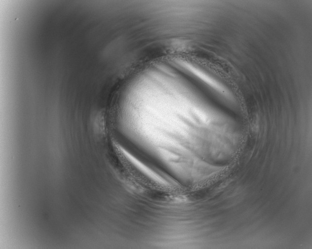 X0000069400715200605262143