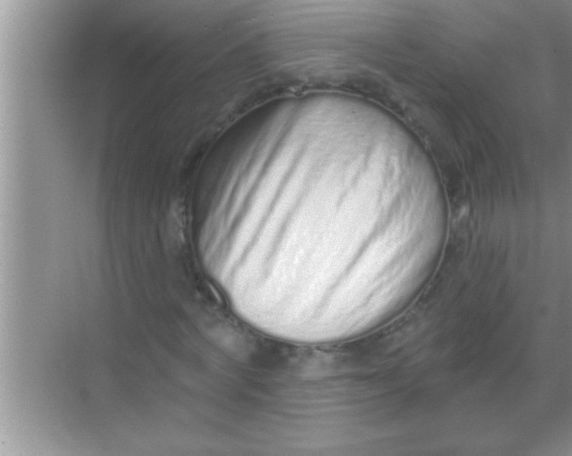 X0000069400772200605262142