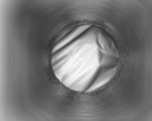 X0000069400774200605262142
