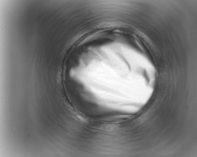 X0000069400778200605262142