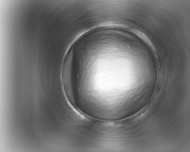 X0000069400855200605262141
