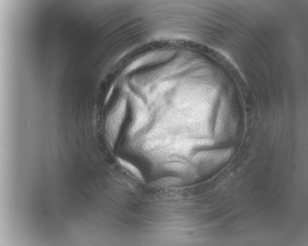 X0000069400871200605262140